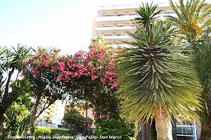 695- Torremolinos- Don Pablo- Don Pedro- Don Marco